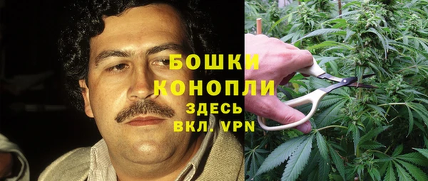 бутират Алексин