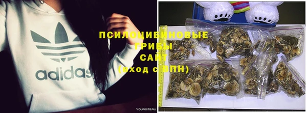 крисы Алексеевка